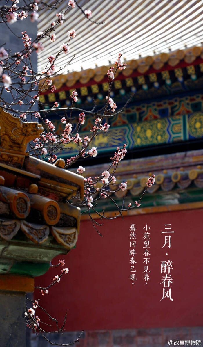 三月·醉春风 故宫【紫禁城】壁纸/美图/风景/高清