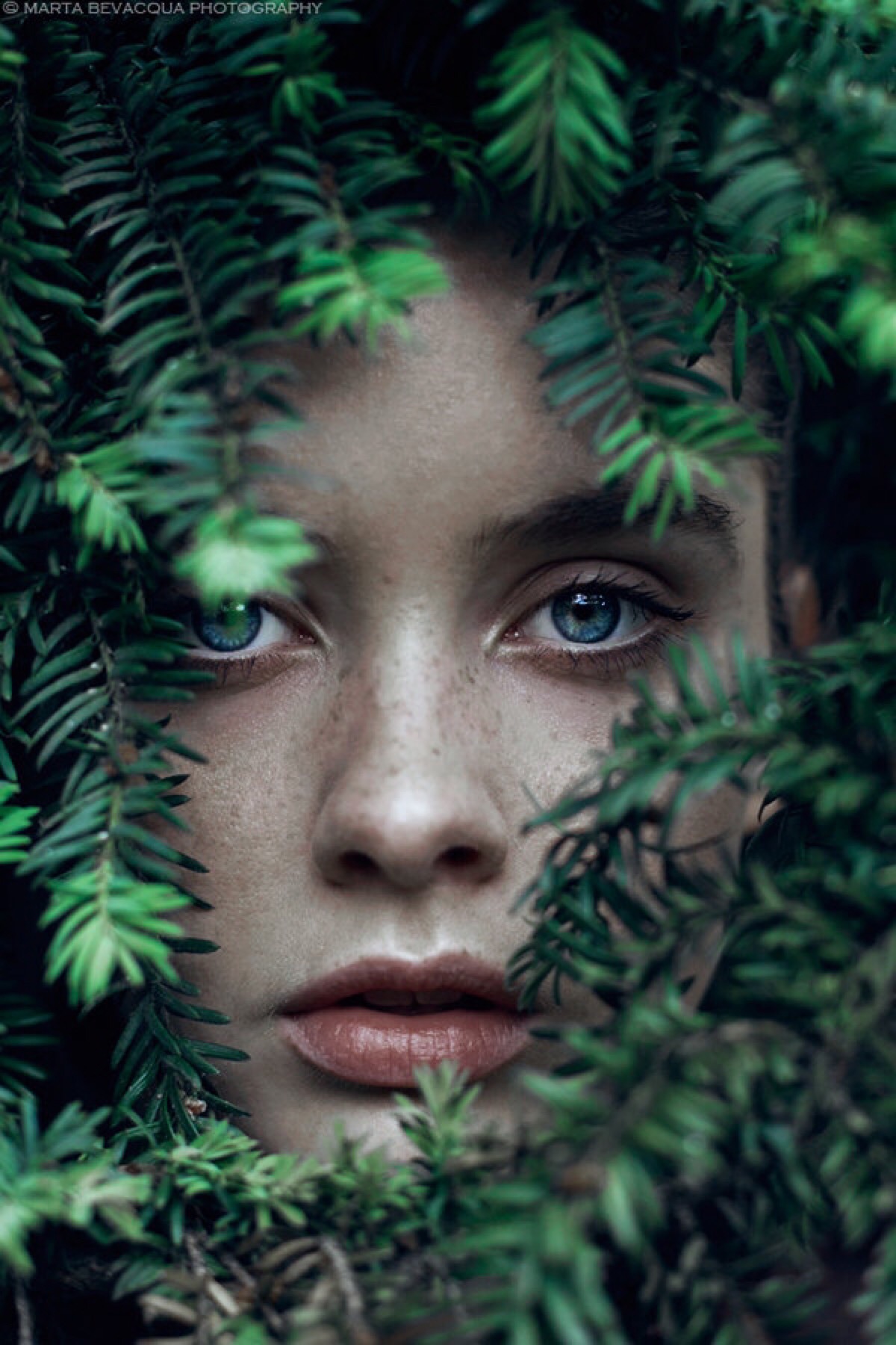 marta bevacqua 唯美人像摄影