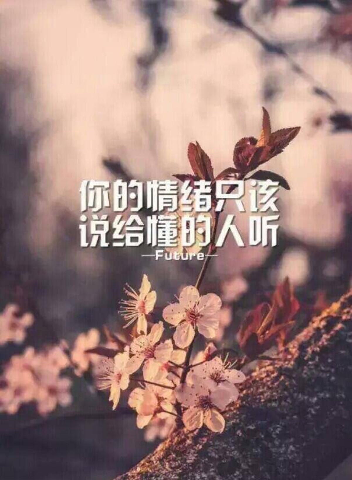 很多情绪只适合留在心里自己慢慢消化,没有人真正懂你,你也不需要说给