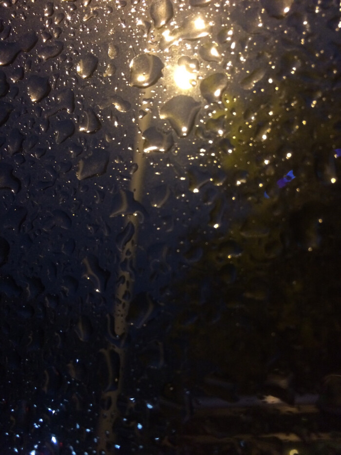 真实晚上路灯图片下雨图片