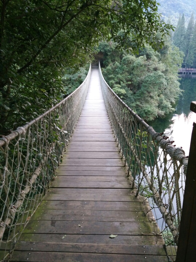 安溪铁索桥图片