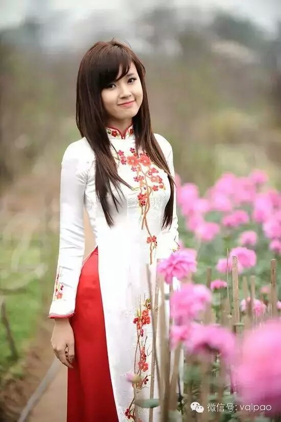 越南服饰 ~奥黛