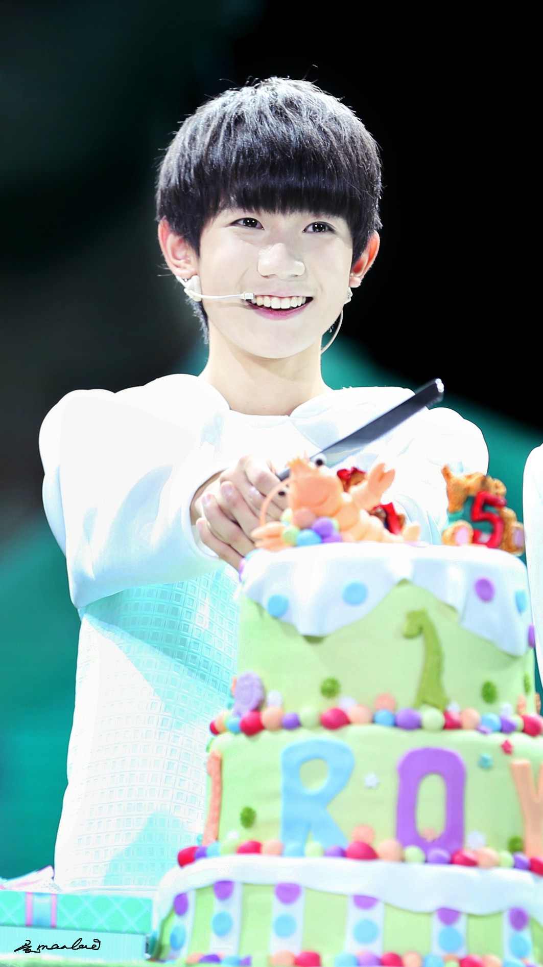 tfboys王源 151108 森林小夜曲生日会 cr:源哥曼曼来