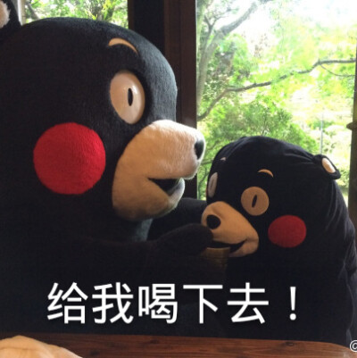 熊本熊表情包