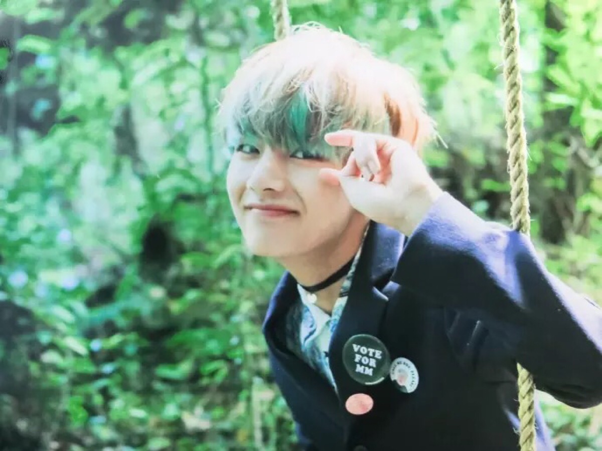 金泰亨 v bts 防弹少年团 花样年华pt.2
