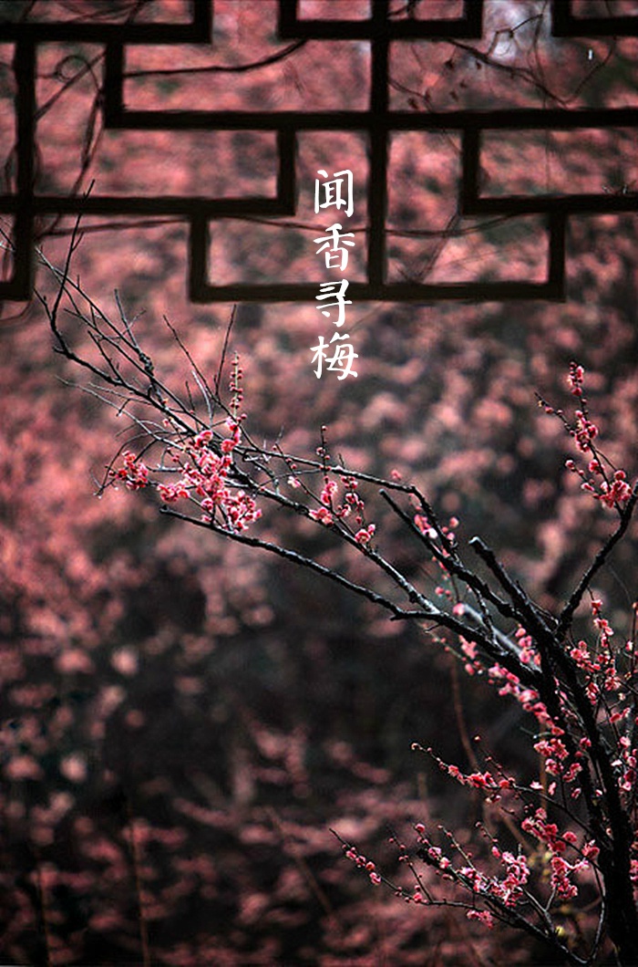 【中国节气:大雪】野鹤连霞,万物覆雪.呵气成霜,大雪封河.