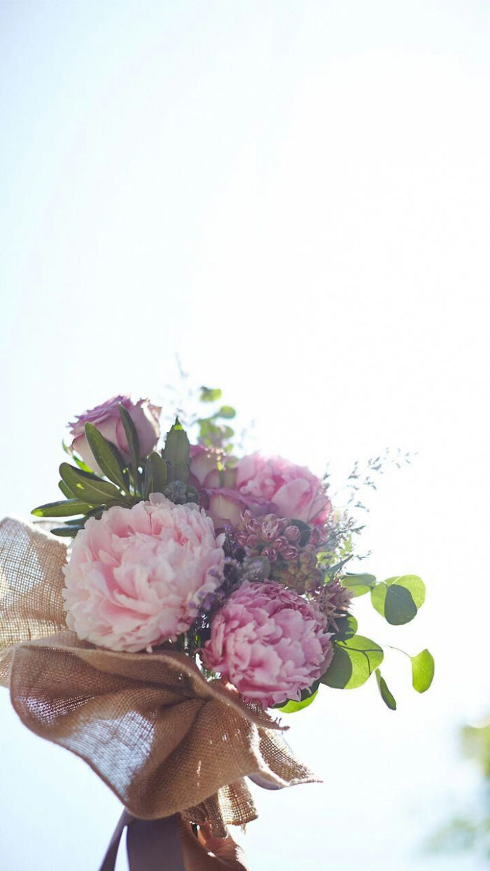 文艺,花,壁纸