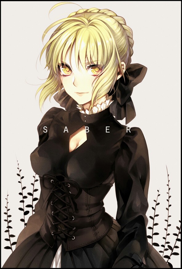 fate zero