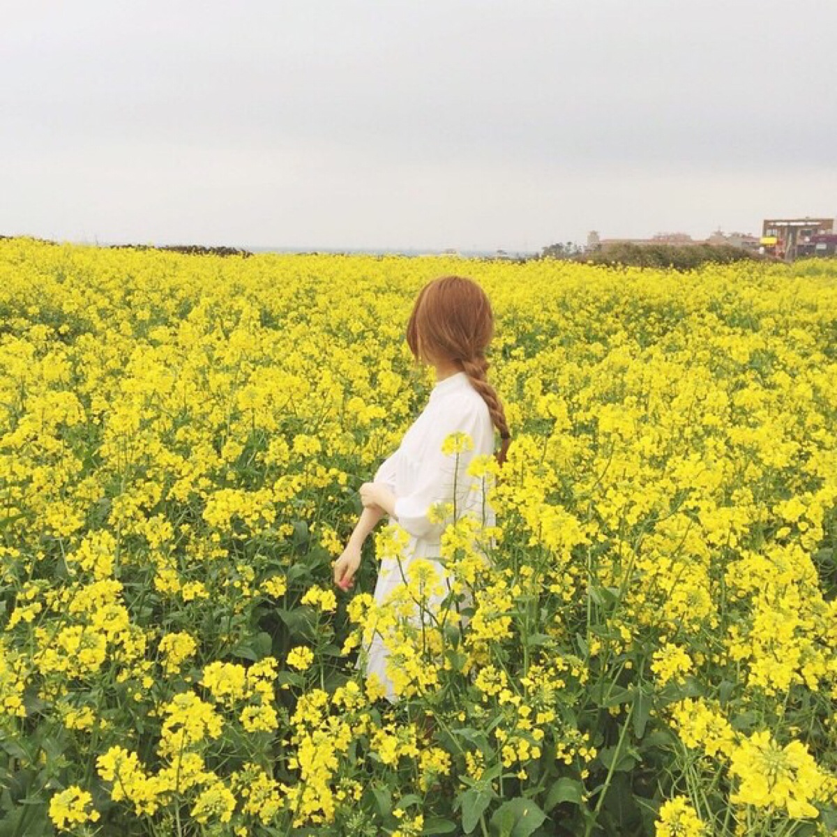 女生头像 韩头 个性头像 by:萱萱姐姐爱小鹿 ( )