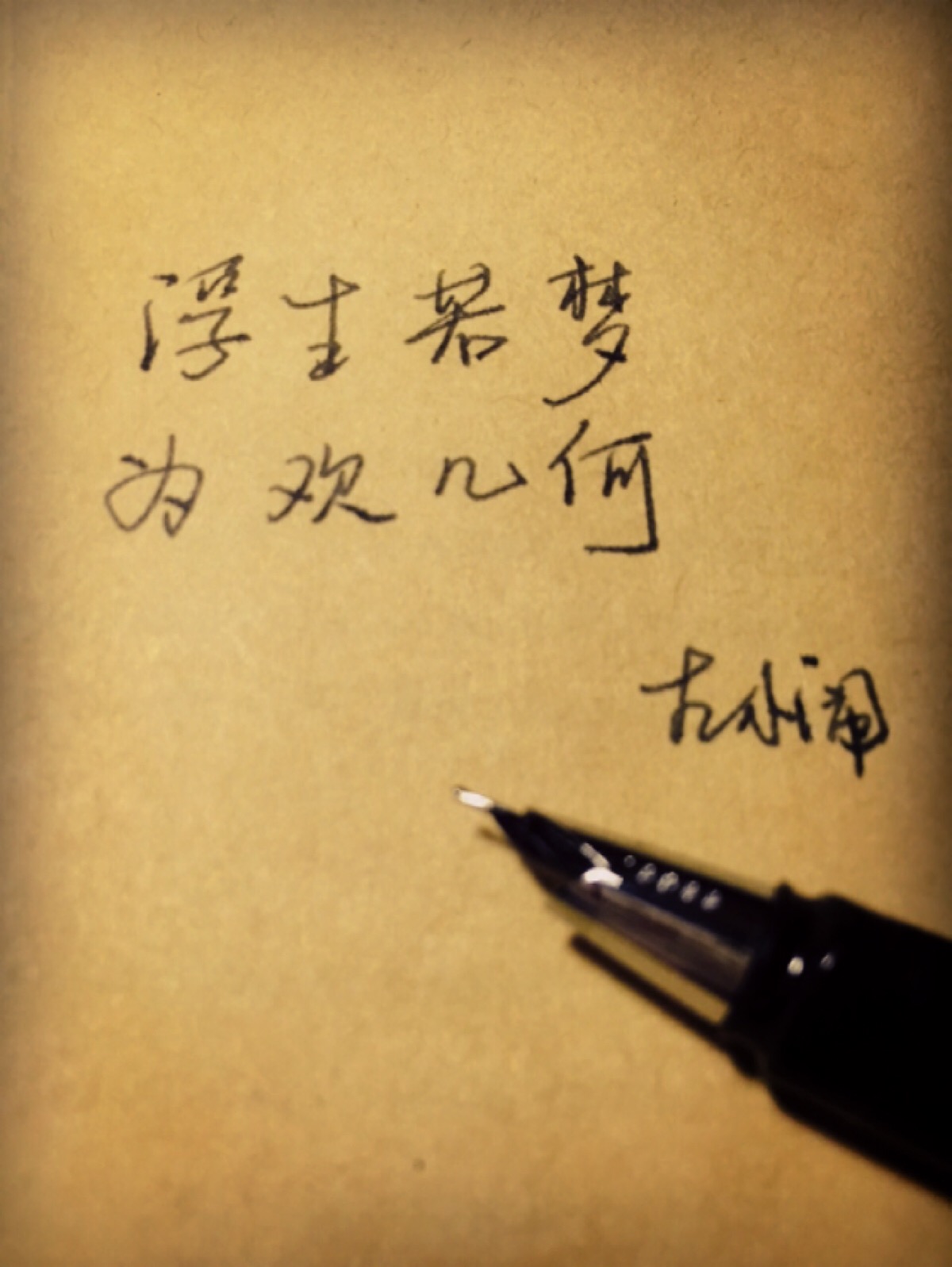 浮生如梦,为欢几何,有谁知道是什么意思吗?特别是后面