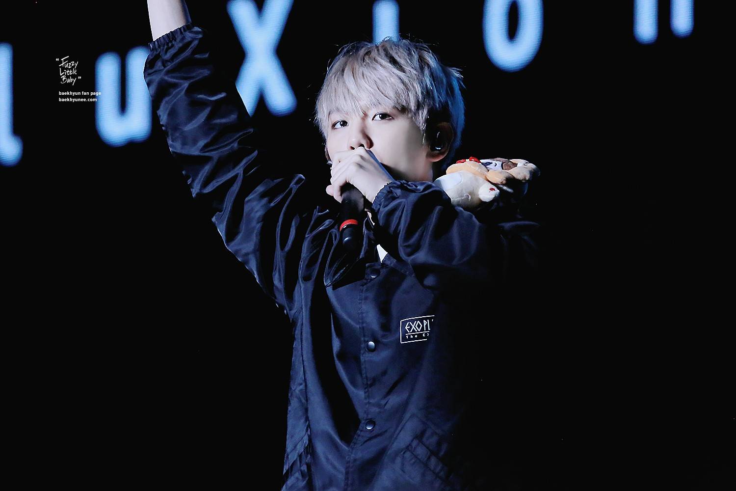 边伯贤 151212the exoluxion in 南京演唱会