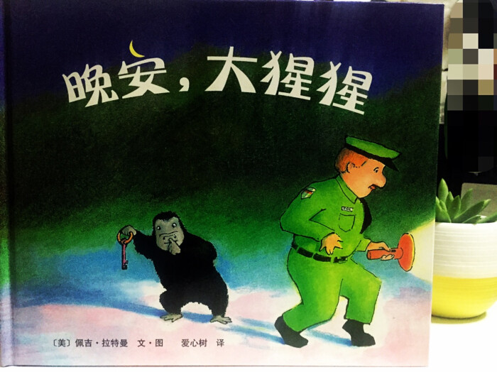 《晚安,大猩猩》又一本刻画细腻,不经意流露主旨的好绘本.