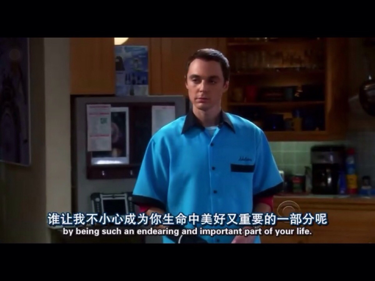 生活大爆炸