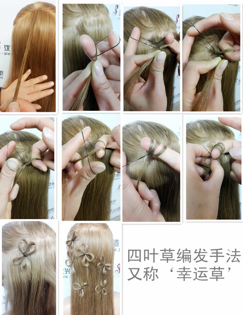 四叶草编发图片