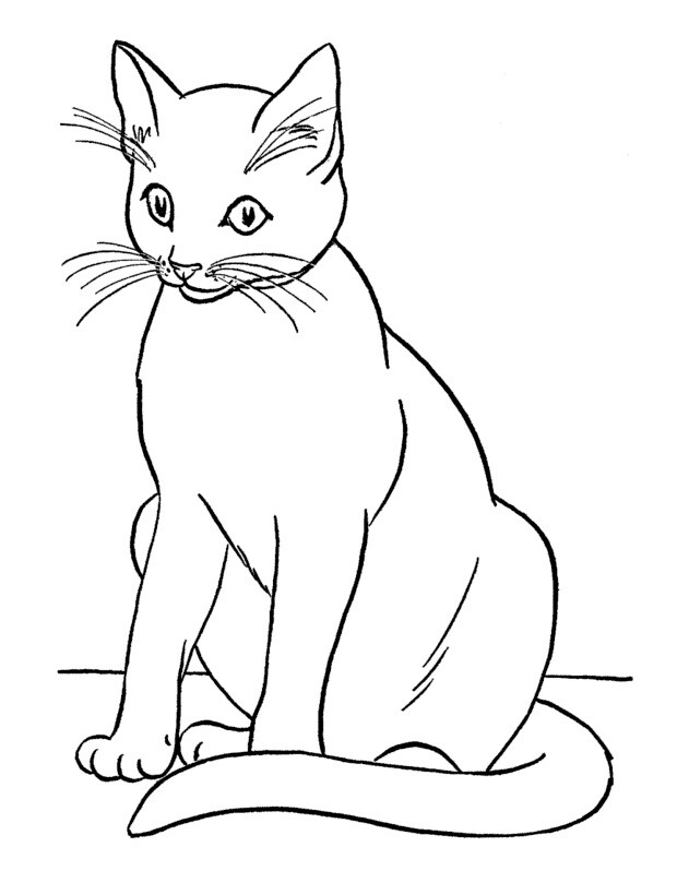 简笔 黑白 线稿 猫