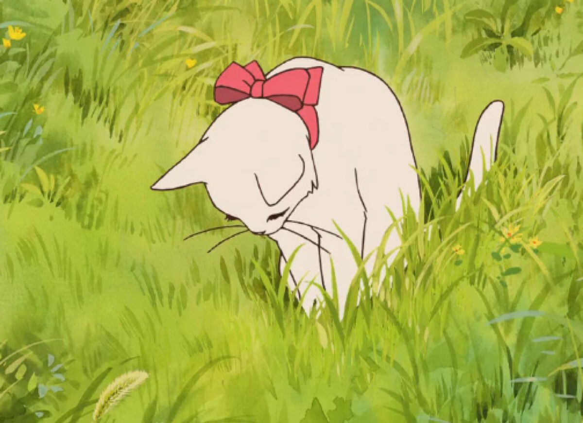 猫的报恩