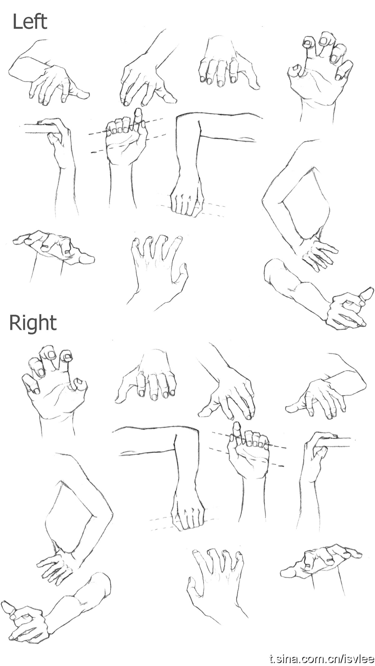 绘画 左右手动作参考