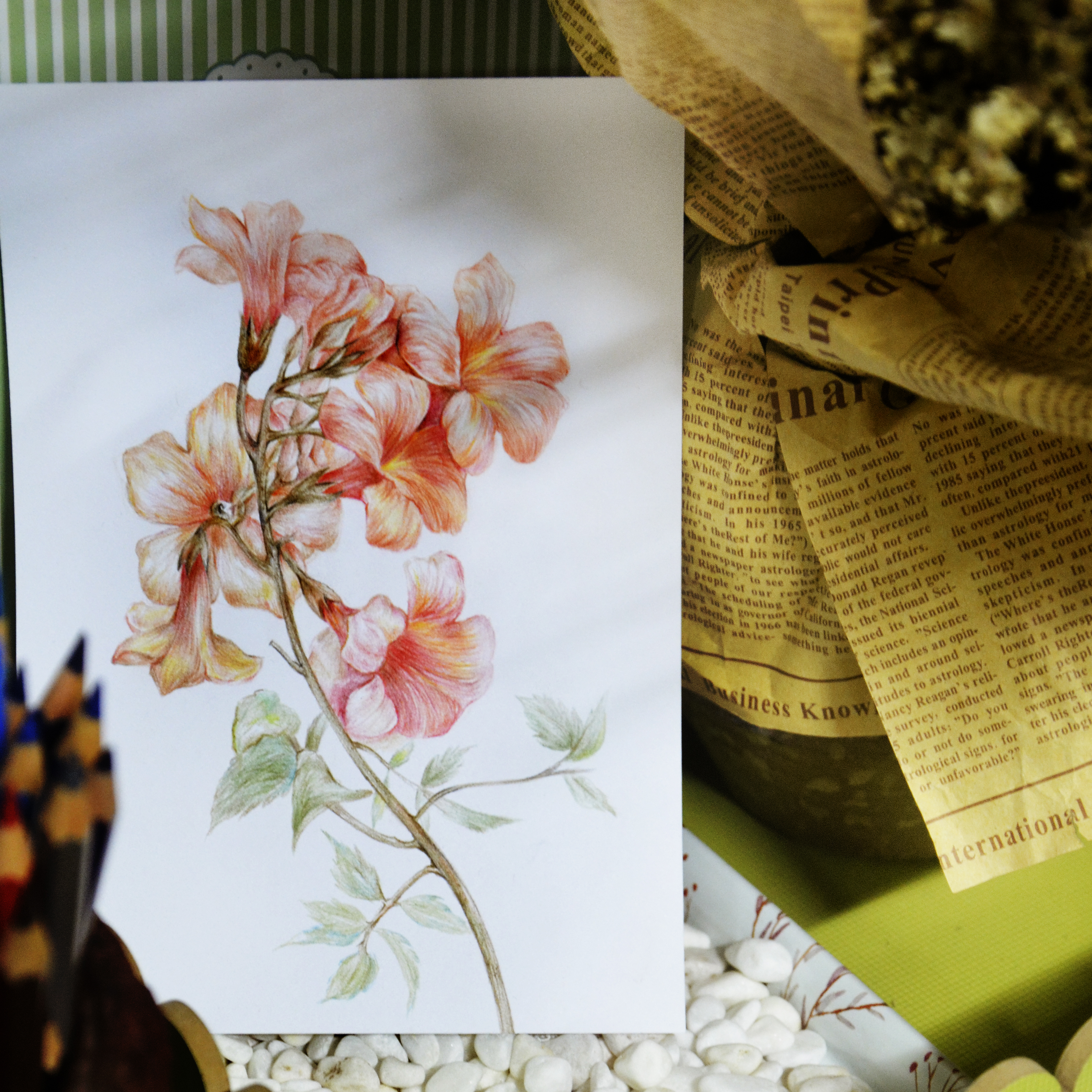 12.24 _(07`」 ∠)_临摹自麦大米原创手绘明信片.by sunrise-j.