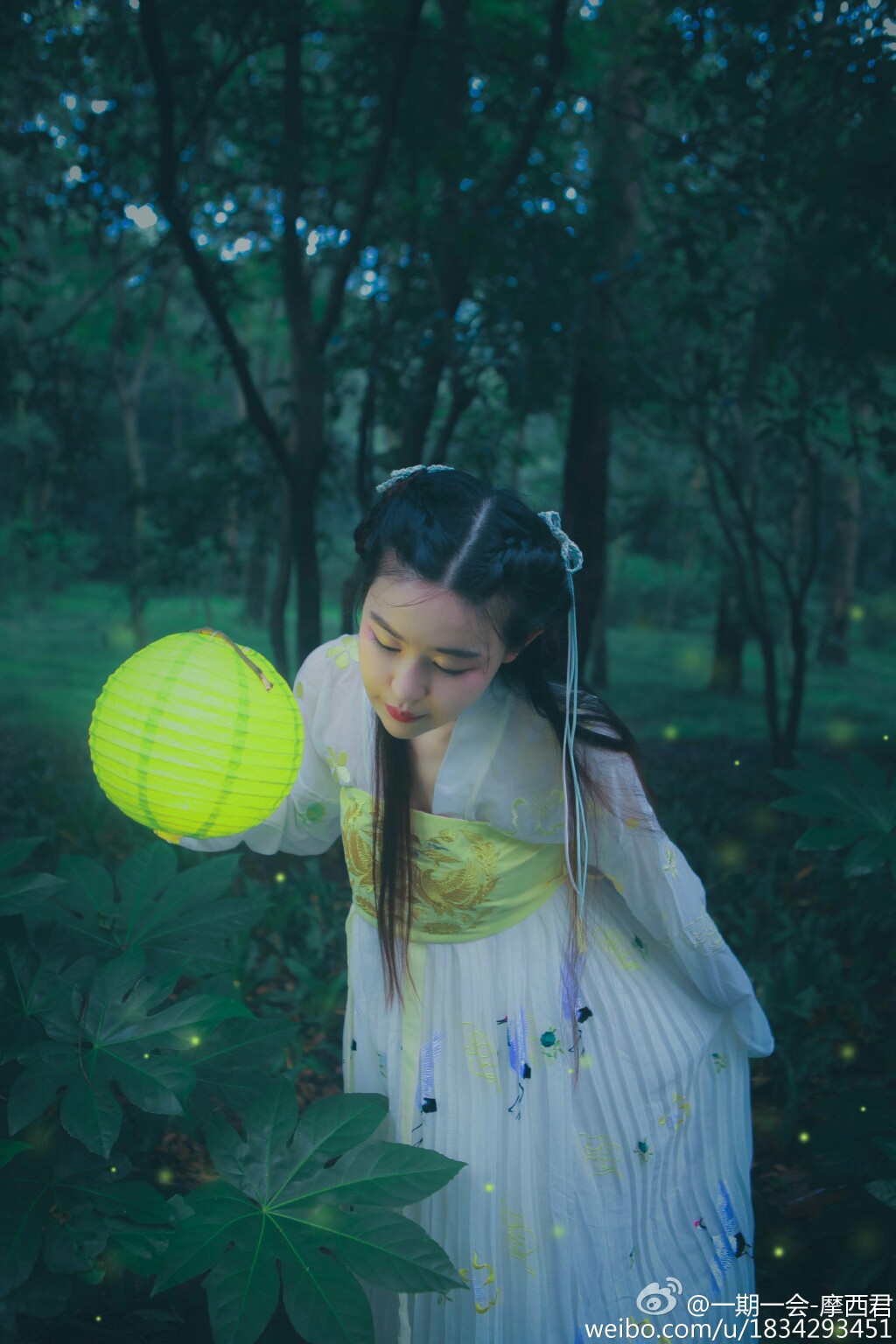 遇萤#尘缘似一场流萤/眉目缱绻中宁静/照谁前行/灿若彻夜繁星 麻豆