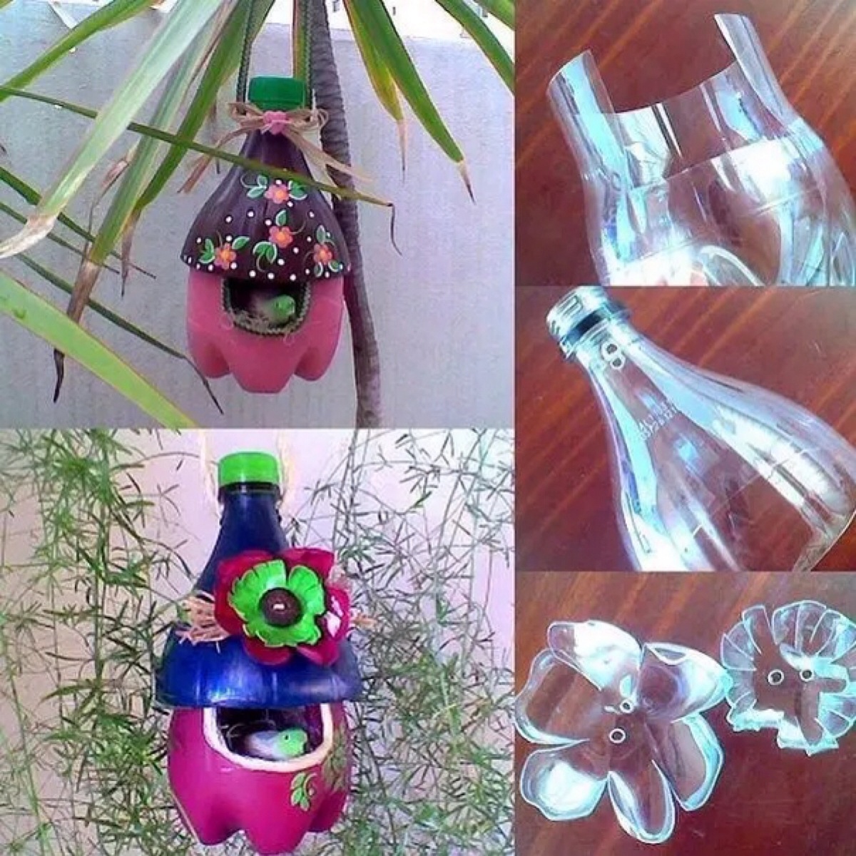 塑料瓶自制鸟窝图片