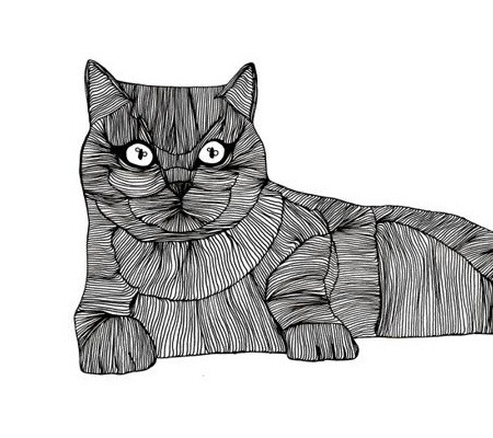 线条 黑白稿 猫