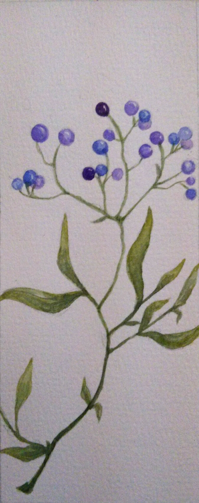 水彩 书签 花