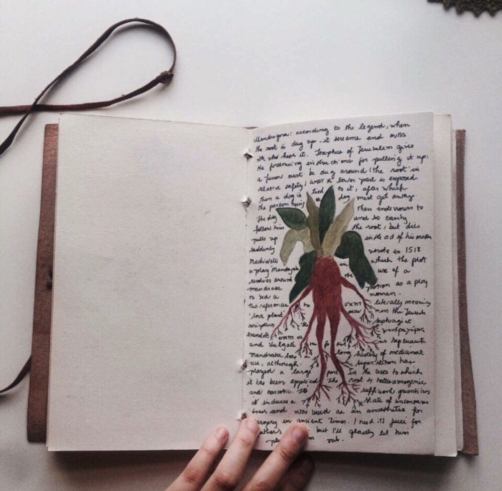 my diary #2 unfinished pages