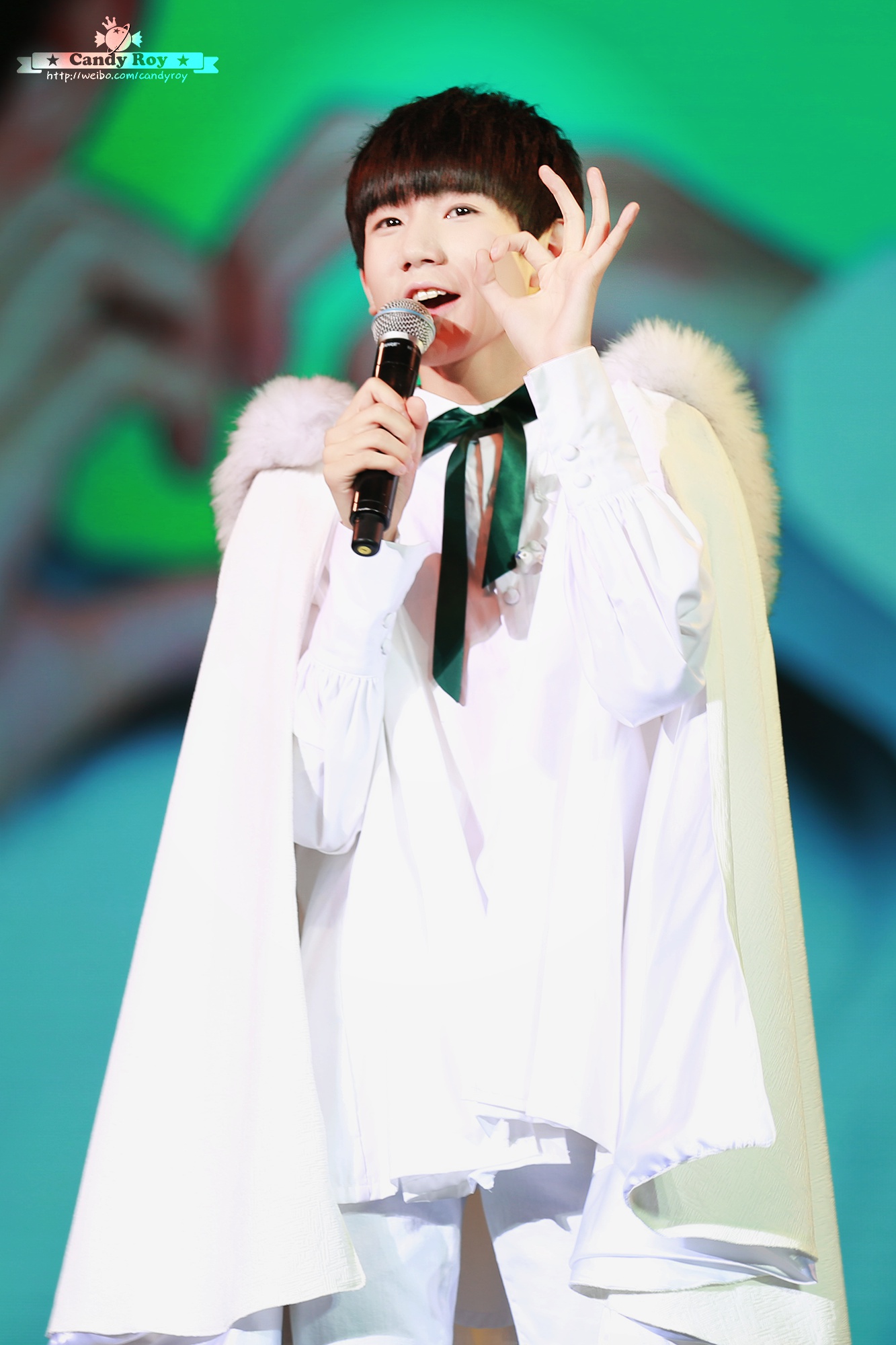 tfboys王源 151108《王源的森林小夜曲》生日会cr:candyroy糖果源