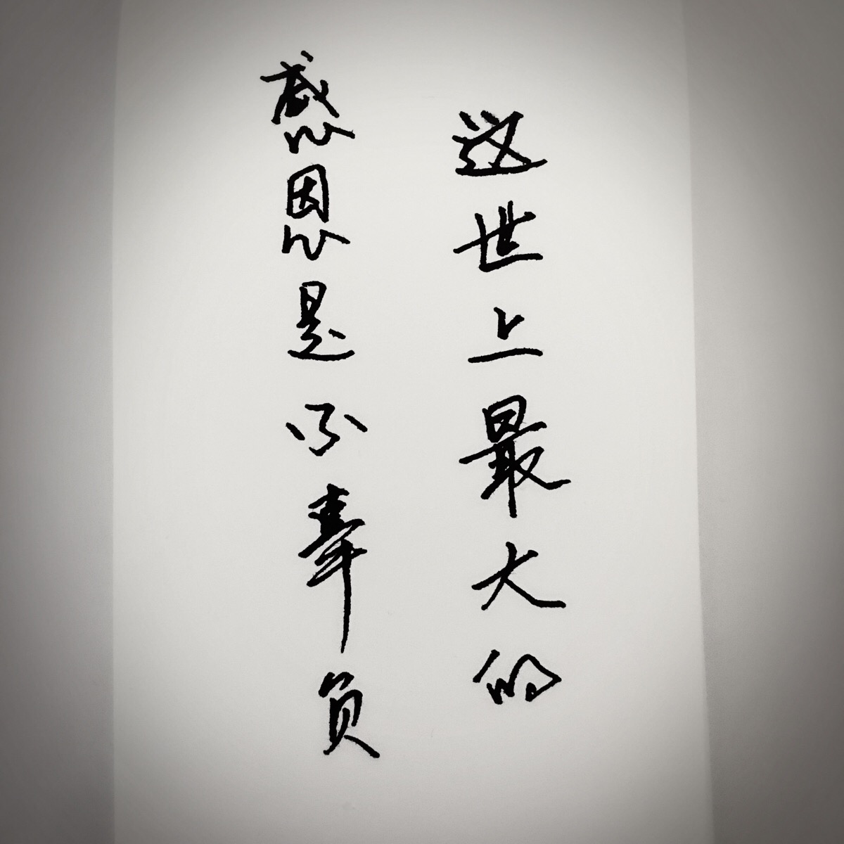 这世上最大的感恩是不辜负.