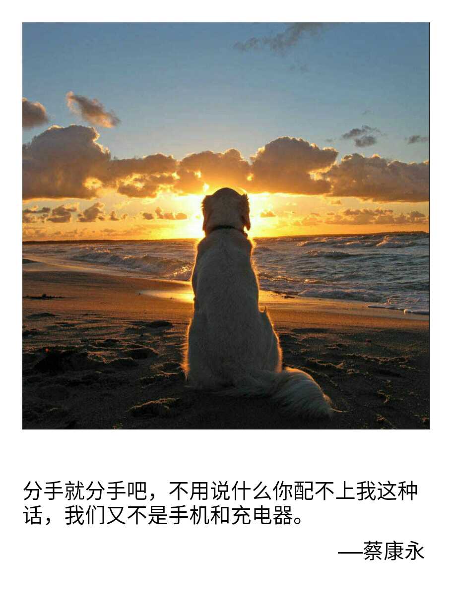 情绪卡片;心情卡片;文字卡片 自制