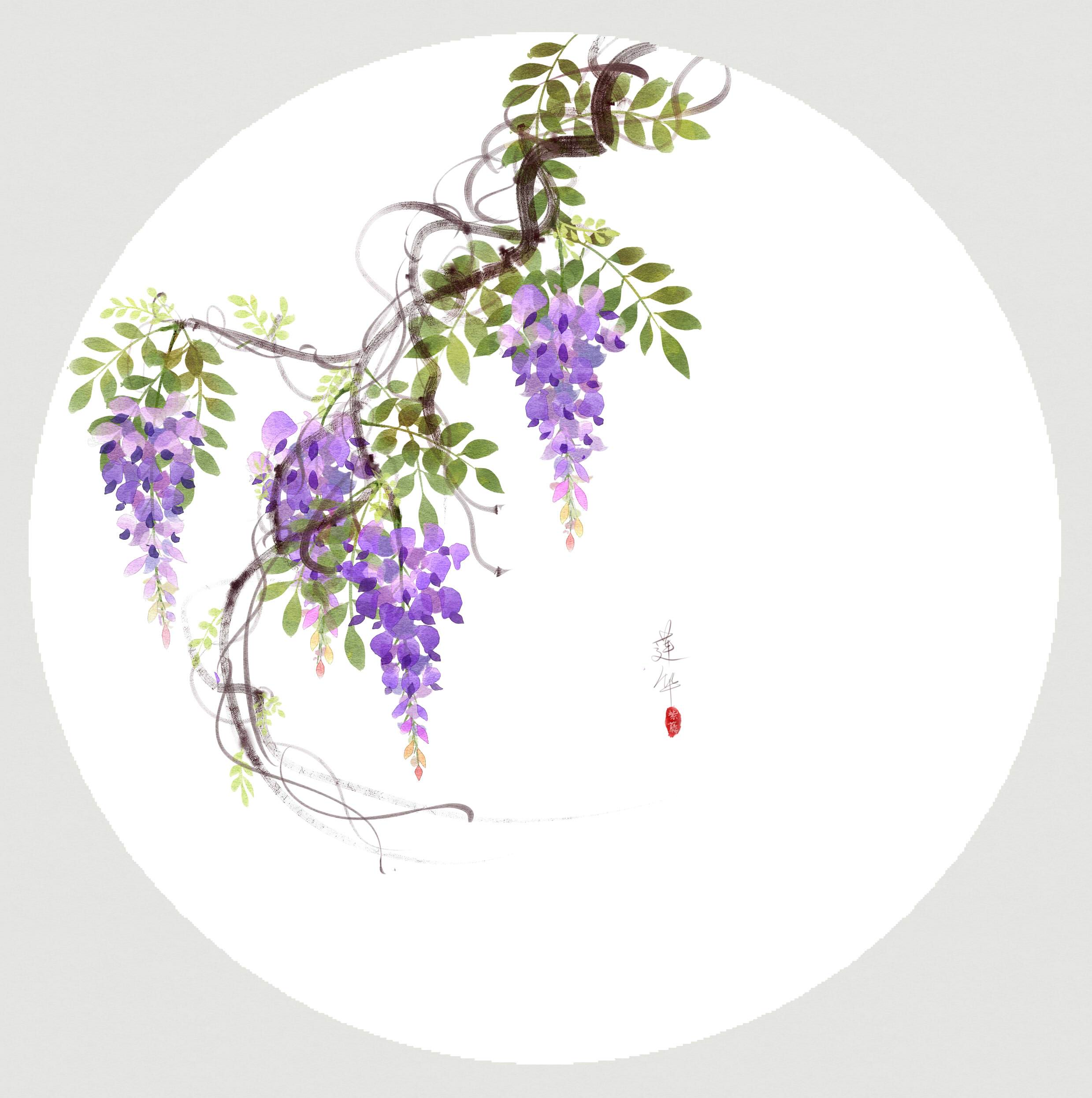 「月上雪」古风插画,水彩花卉,手绘紫藤