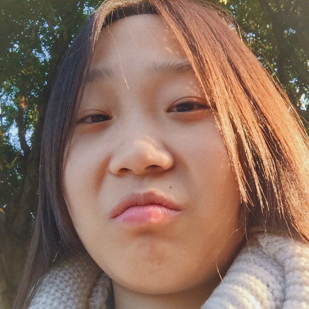 双下巴 