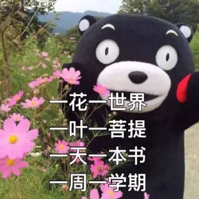 一花一世界,一叶一菩提,一天一本书,一周一学期