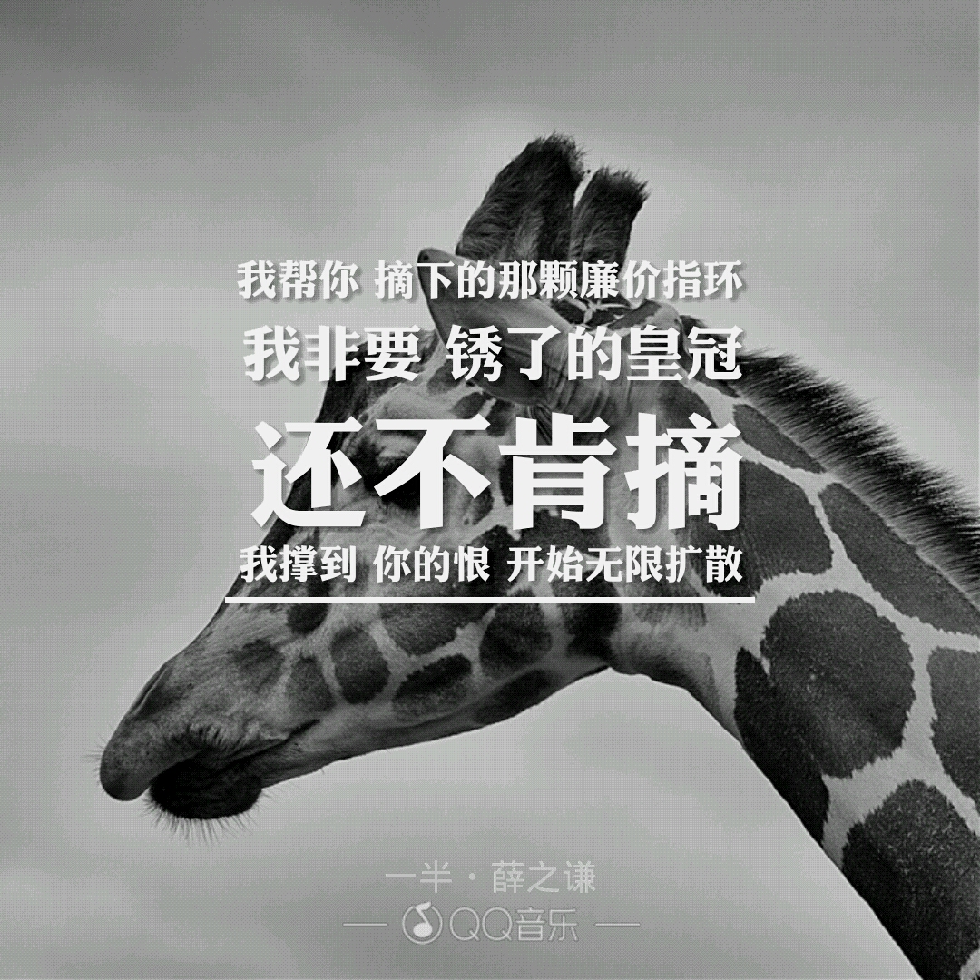 跳跃歌词,一半,薛之谦