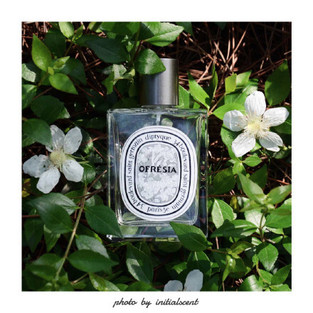 【闻香识人】diptyque ofresia - 简单直白,清新的气味贯穿始终,与