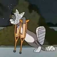 tom and jerry.在乖乖的妲己大人の怪怪头像这里.