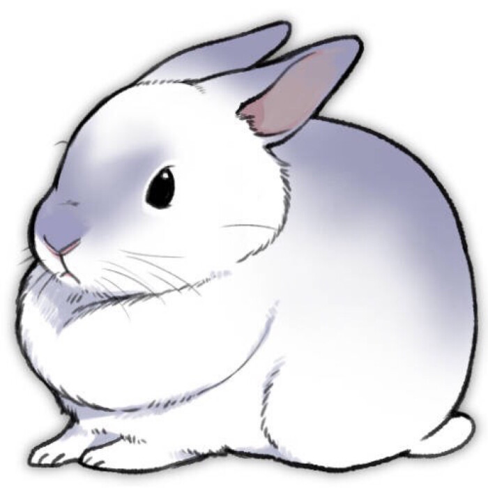 画师井口病院うさぎは正义作品 超可爱的小兔子～兔子小头像