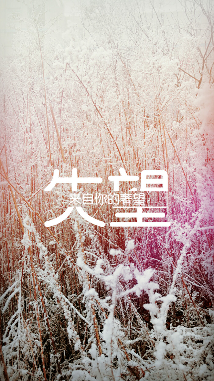 壁纸 杂草 枯枝