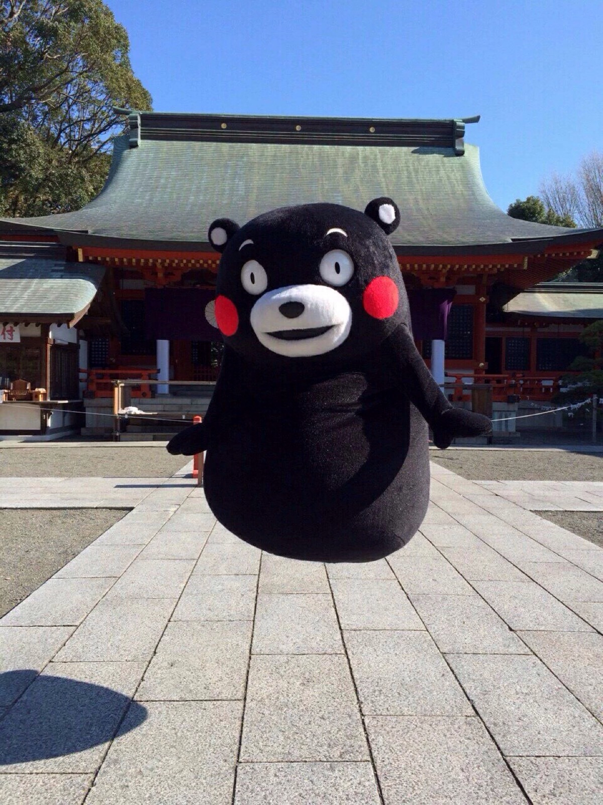 部长 熊本熊 kumamon～炒鸡萌～ 灰起来了!