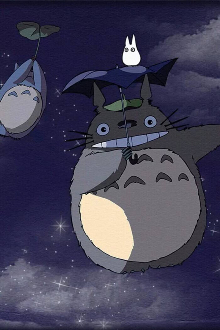龙猫