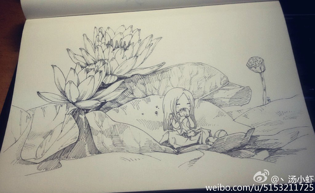 文字 清新 欧美 日韩 手机 可爱 荷花 平铺 插画 唯美 森系 女生