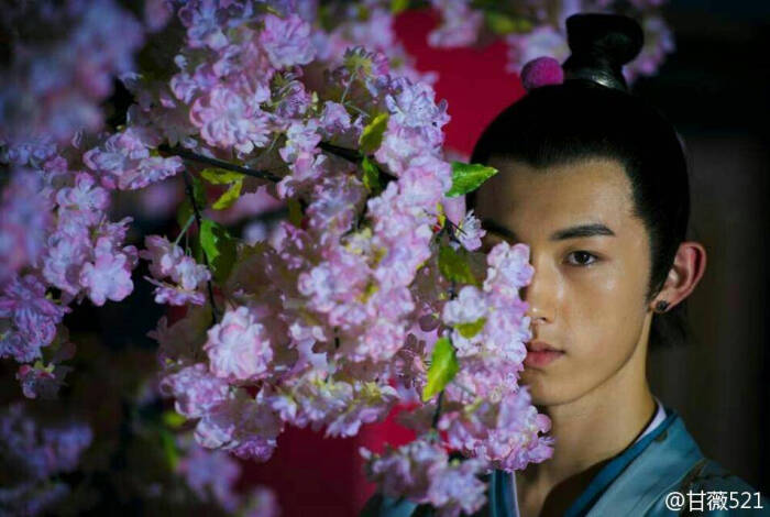 太子妃升职记(>ω *)好美啊,杨严