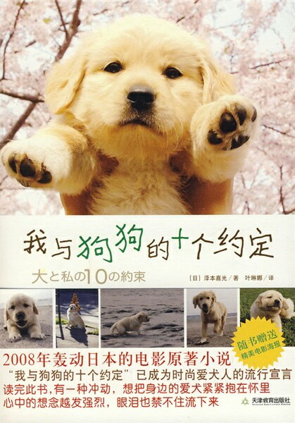 《我与狗狗的十个约定》初中时看的一本书,回味下