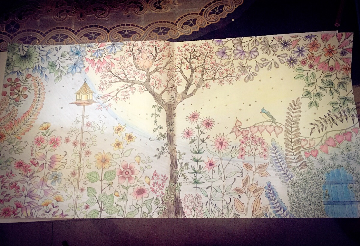 秘密花园彩铅自画