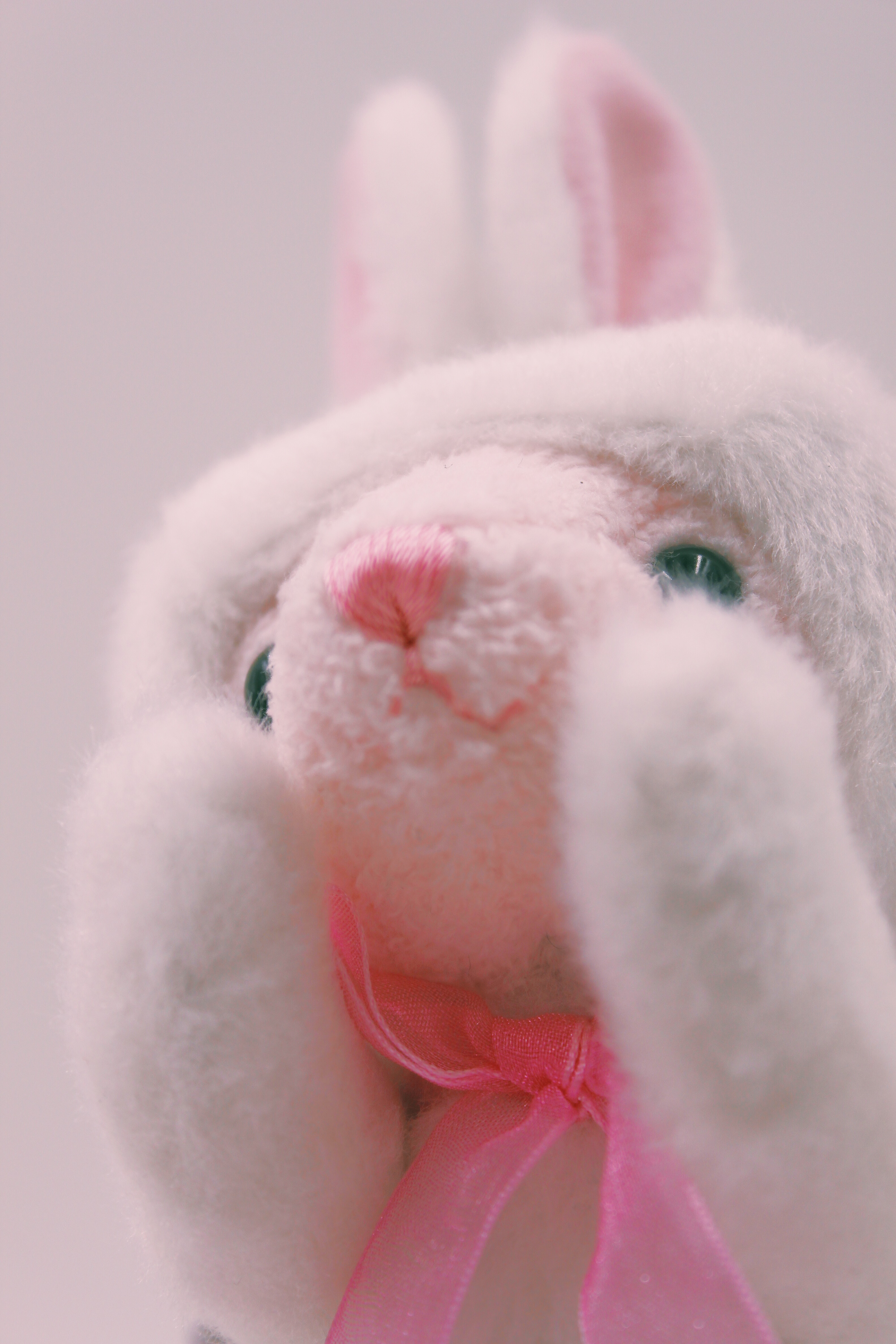 泰迪珍藏teddy bear collection hey~im here!