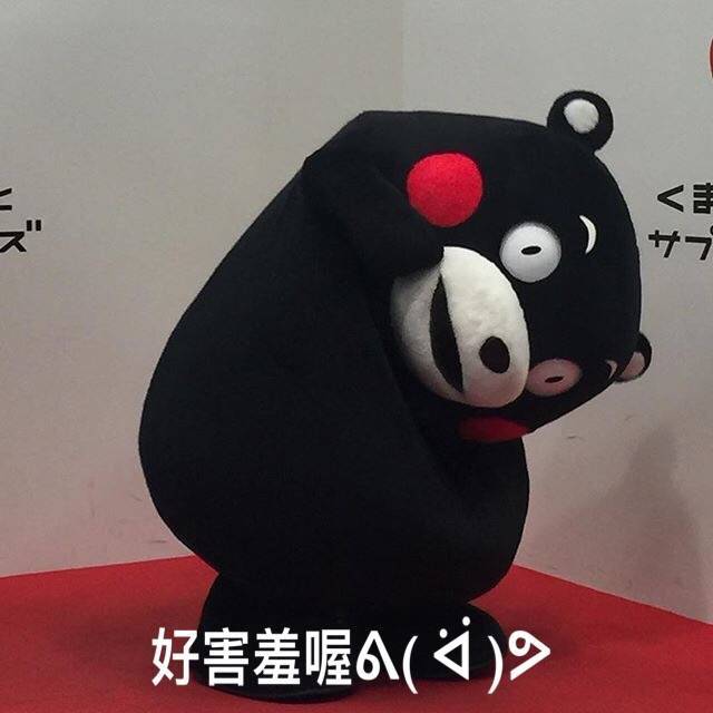 熊本熊 