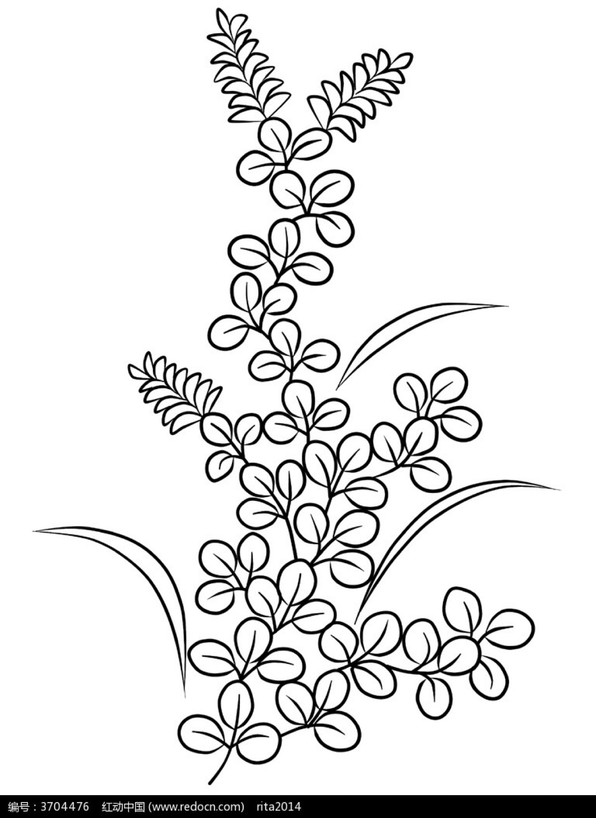 花草
