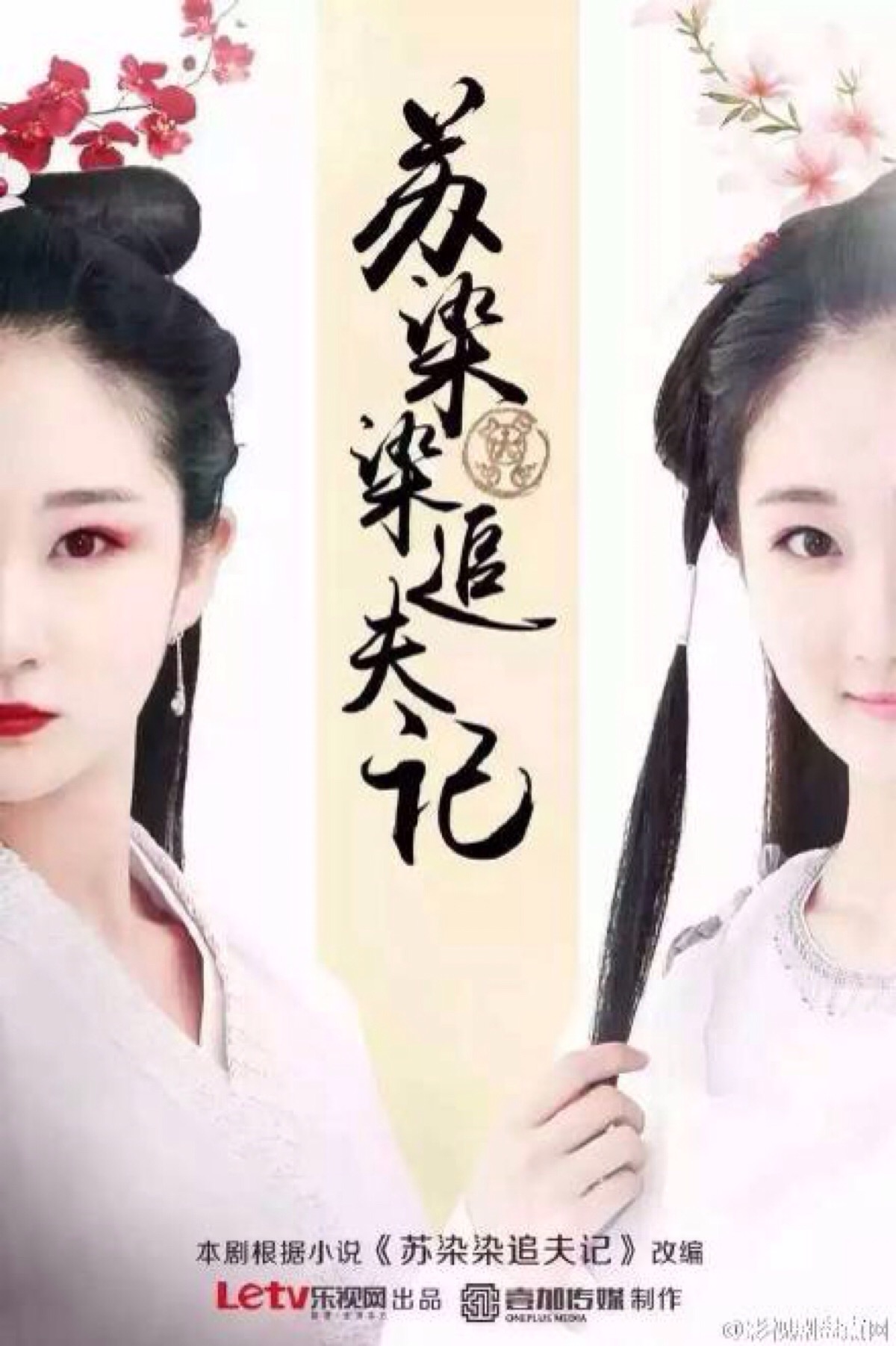 尹淇《苏染染追夫记》