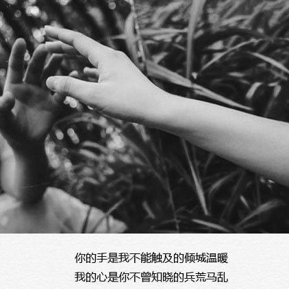 你的手是我不能触及的倾城温暖