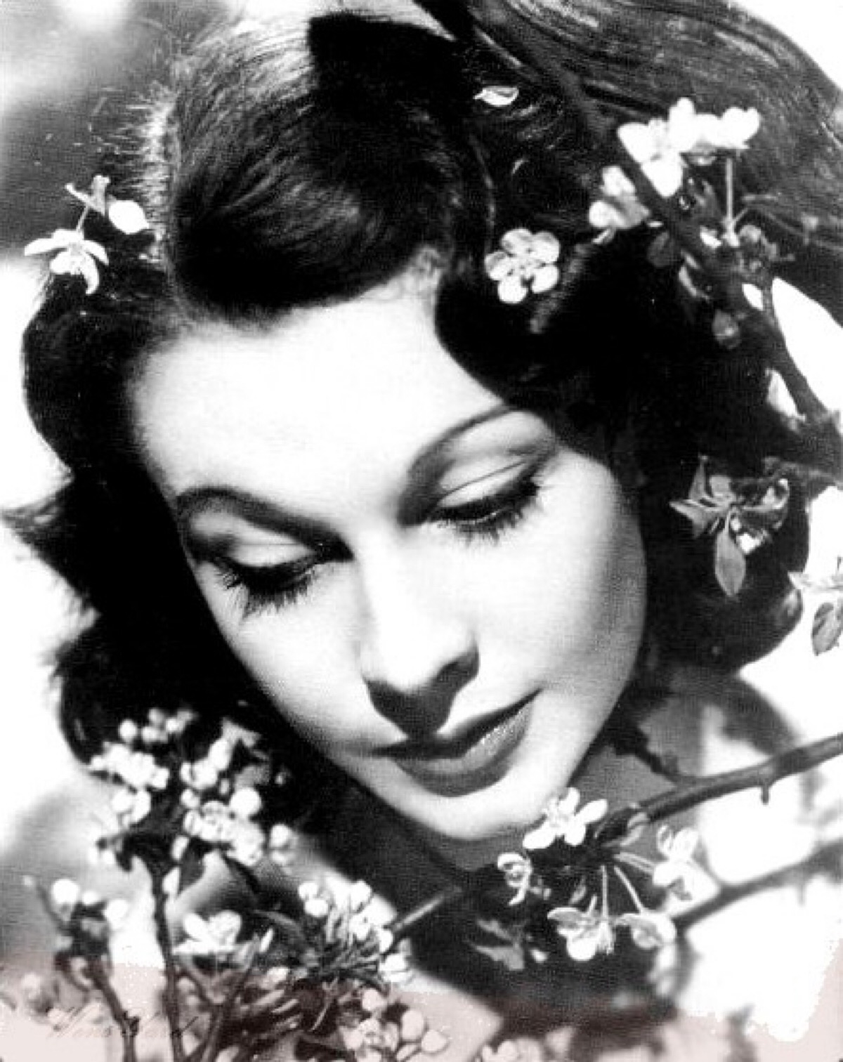 费雯·丽 vivien leigh